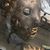 Jayson Kong's profile image