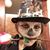 Mikki Loga's profile image