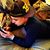 Den Borrero Pad's profile image