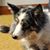 Emily Glidden's profile image