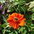 Barbara Erickson Vanderstelt's profile image