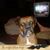 Gerald Thomas Krause's profile image
