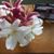 Celicia Thomas's profile image
