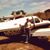 Linda Schroeder's profile image