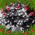 Susanne Gean's profile image