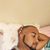 Brandon Gist's profile image