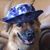 Vicky Collins's profile image