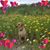 Patricia Oakley's profile image