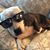 Carolynne Kanuch's profile image