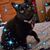Patricia Bridges's profile image