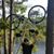 Marti Lopez Gonzalez's profile image