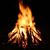 Louis Foussard's profile image
