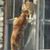 Lisa Spangler's profile image