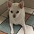 Kathy Brown's profile image