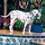 Doug Terraglio's profile image