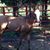 Cristi Shumate Mitchell's profile image