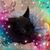 Katt Medina's profile image