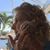Michele Layne's profile image