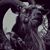 Brandon Miller's profile image