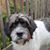 Cheryl Graybush's profile image