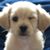 Bill Anglea's profile image