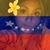 Viviana R. Mendoza's profile image