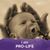 Terri Kaye Turley's profile image
