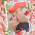 Pamela StClair Orum's profile image