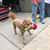 Christy Garrett Glenn's profile image