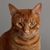 James Owens's profile image