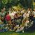 Jo Ann Pass-Gresham's profile image