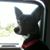 Vallerie Hayden's profile image