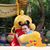 Diele C Kyhn's profile image