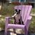 Ann Cox Farnell's profile image