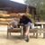 Carol MacLeod's profile image
