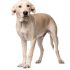 Ashly G.'s profile image