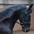 Rhonda Freudenstein-Medsker's profile image