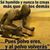 Heriberto Contreras Leon's profile image