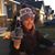 Darcy Klapperick McGough's profile image