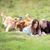 Tiffany Quandt's profile image