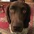 Ken Bremer's profile image
