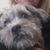 Elizabeth Scavo's profile image