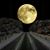 Christy Jacobs's profile image