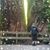 Debbie Hoit's profile image