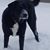 Kory Weldy's profile image