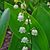 Cindy Mitchell Bower's profile image