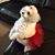 Debra McGregor Ford's profile image
