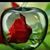 Maria Rivera's profile image