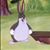 Mitchell Holmes's profile image