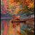 Lori Ann Kelly's profile image
